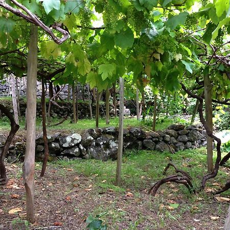 Holidays Madeira Sao Vicente  Bagian luar foto