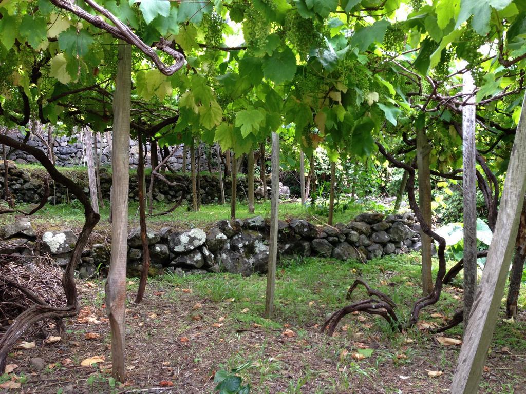 Holidays Madeira Sao Vicente  Bagian luar foto